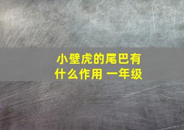 小壁虎的尾巴有什么作用 一年级